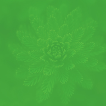 AD0IkI2rBxACGAAgk_Sq0AUozOXdrQUw9QI48wI